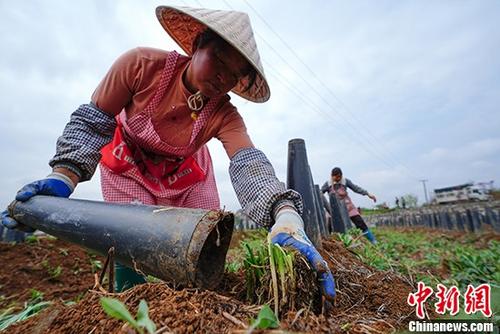 2017年全国城镇人口_上半年就业走势良好累计实现城镇新增就业752万人